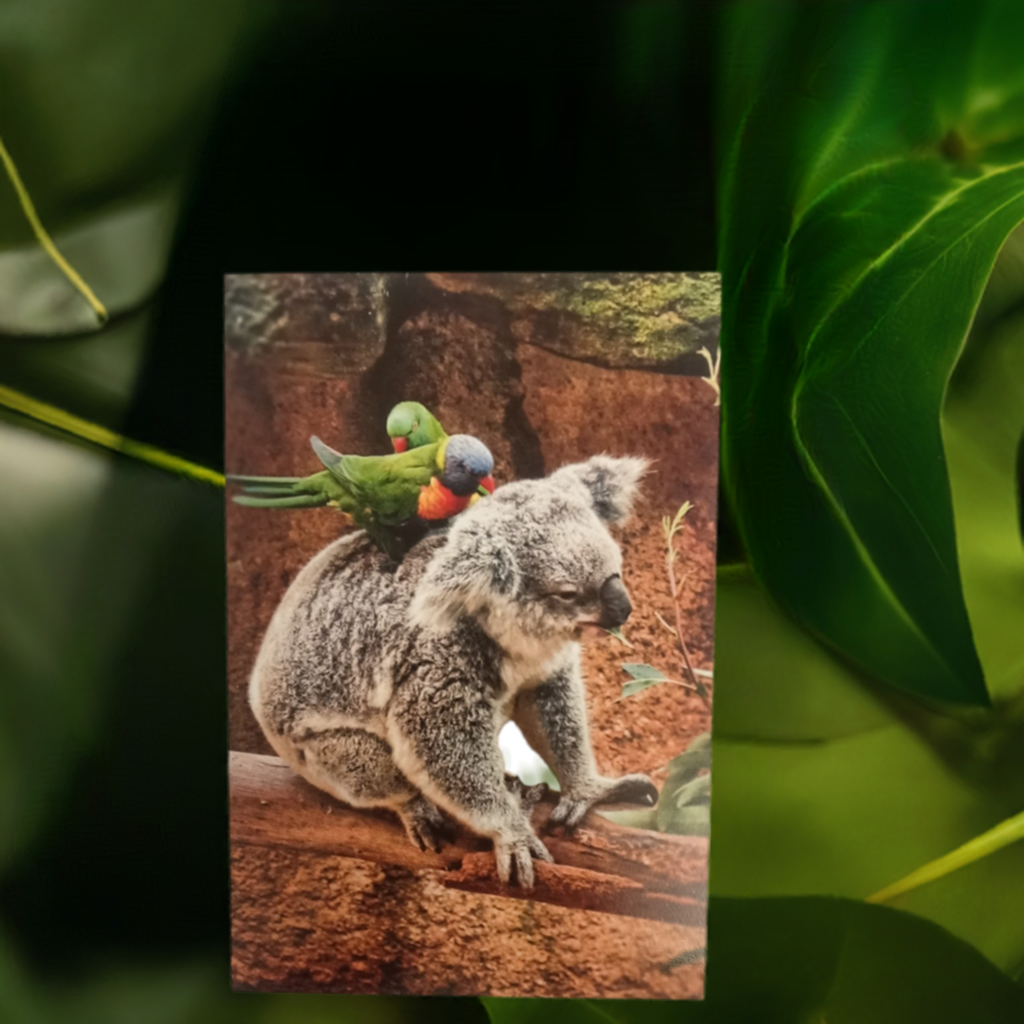 Koala and Lorikeet Greeting Card